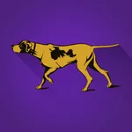 Westminster Dog Show icon