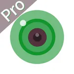 iCSee Pro icon