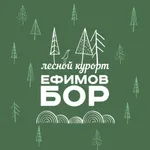 Ефимов Бор icon