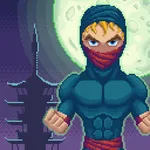 The Best Ninja icon