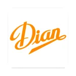 Dian B2B icon