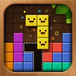 Wood Color Block: Puzzle Game icon