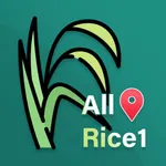 All-Rice1 icon