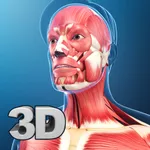 My Muscle Anatomy icon