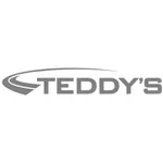 Teddy’s Transportation System icon