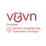 Netwerk VSO icon