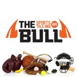 960 The Bull icon