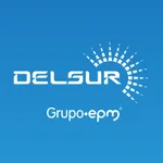 Delsur icon