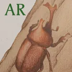 The Insect AR icon