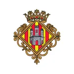 APP Castelló icon