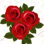 Bouquet Stickers Pack icon