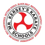 Mr Kerseys Karate School Ltd icon