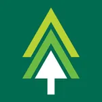 nTree icon