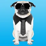 Pug Life icon