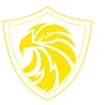 Hawk Connect icon