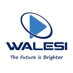 Walesi icon