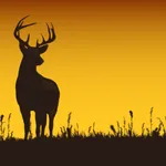 Solunartek icon