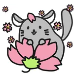 Chinchilla Minny 2 icon