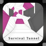 Survival Tunnel icon