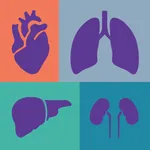 Transplant Referrals icon