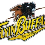 Flyin Buffalo Kannapolis icon