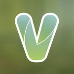 Vevi icon