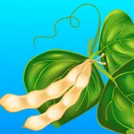 Smartirrigation Soybean icon