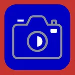 PicOrg business icon