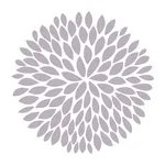 Total Balance Kettering icon