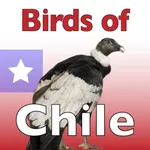 The Birds of Chile icon