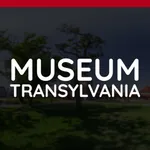 Museum Transylvania icon