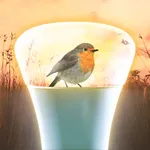 Hue Outdoor icon