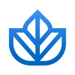 Ivy.co icon