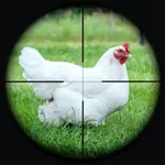 Chicken Hunting Sniper 3D icon