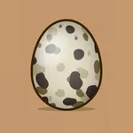 EGG in ONE icon