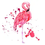 Watercolor Flamingo Stickers icon