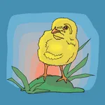 Chicken Chick Emojis icon