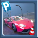 Car Parking - Pro Driver 2021 icon