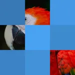 Bloxels - Guess The Pic icon