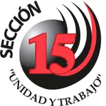 Sección 15 icon