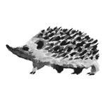 Andar Per Boschi icon