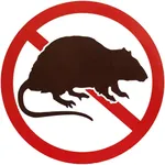 Rat Prevention icon