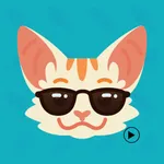 Animated Loving Cat Stickers icon