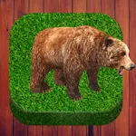 Fun Animal photos icon