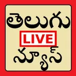 Telugu News icon