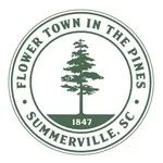 Town of Summerville icon