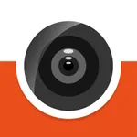 RoadView icon