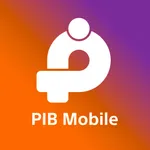 PIB Bank icon