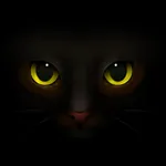 Animated Black Catmoji GIF icon