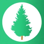 Pine - Deep Breathing icon